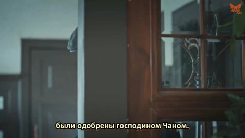 Трефы и червы